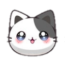43275-kitten-5-1