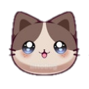 46643-kitten-9-1