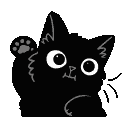 7231-catwave-1