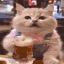 76013-catbeer-1